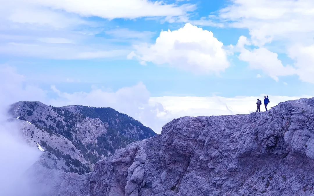 Laimos corridor 1(1)