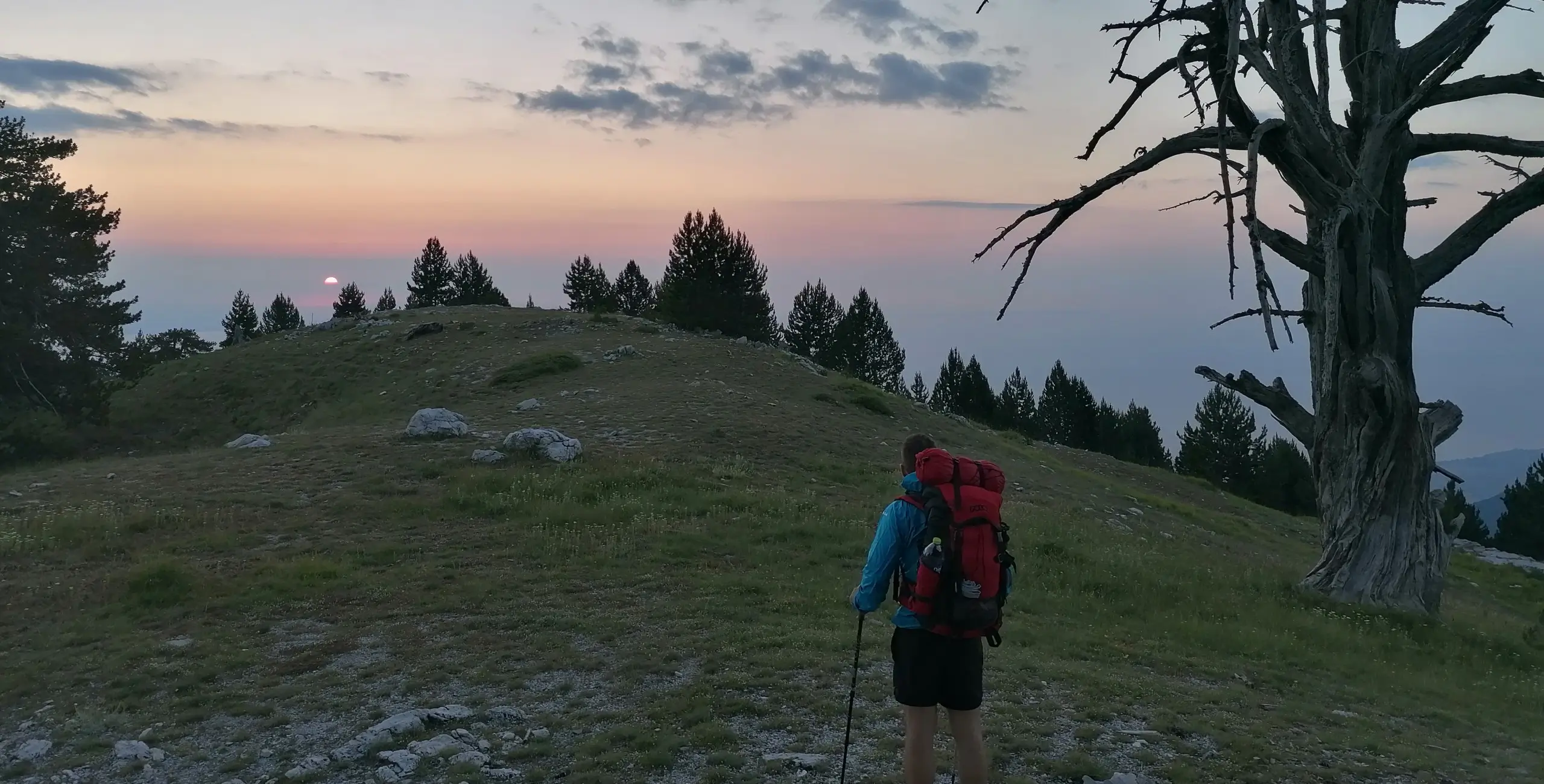 Sunrise over the Aegean Sea viewed from Petrostrouga on Mount Olympus featuring an ancient Bosnian Pine tree